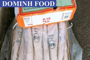 Thịt Trâu Ấn Độ Nhập Khẩu - B-19 KAMIL